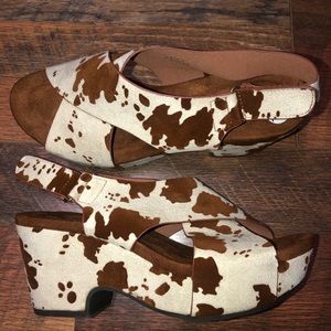 BNWT size 6.5 Pierre Dumas COW print chunky heel shoe.